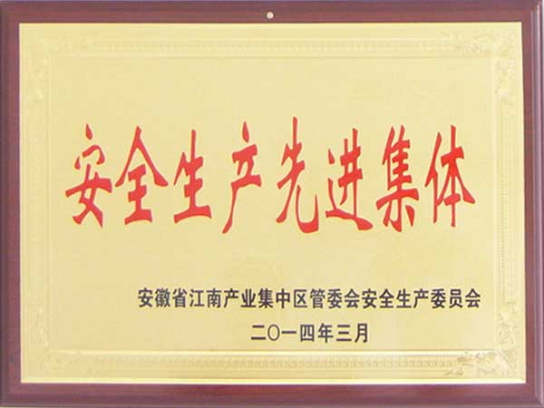 2013年度“安全生產(chǎn)先進(jìn)集體”